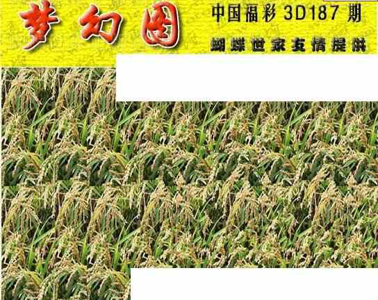 23187期: 3D蝴蝶世家蝴蝶彩图