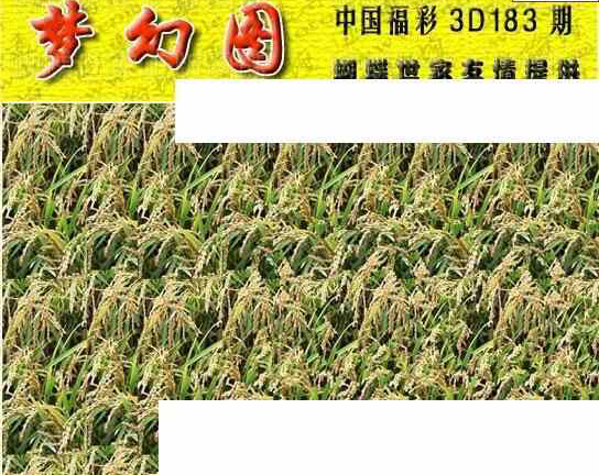 23183期: 3D蝴蝶世家蝴蝶彩图