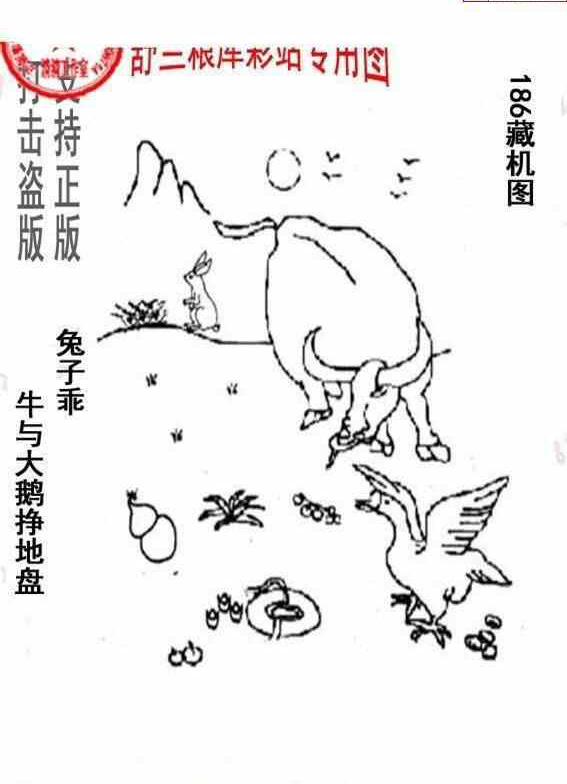 23186期: 老村长福彩3D天天图谜