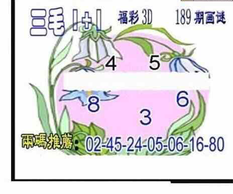 23189期: 三毛3D精品图谜