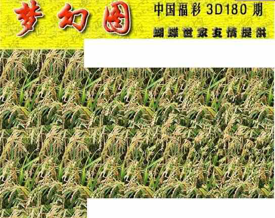 23180期: 3D蝴蝶世家蝴蝶彩图