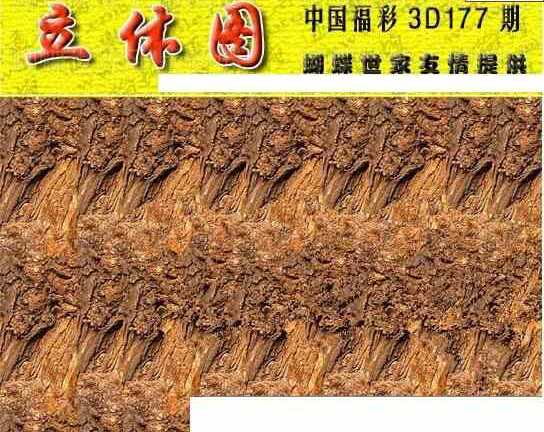 23177期: 3D蝴蝶世家蝴蝶彩图