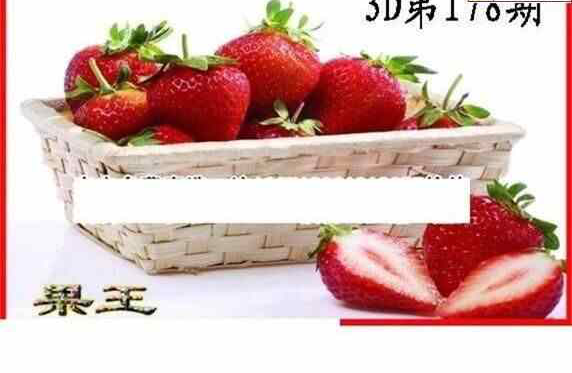 23178期: 白老3D杀码图版