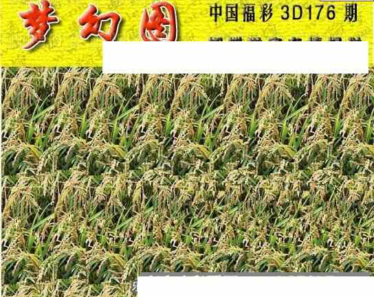 23176期: 3D蝴蝶世家蝴蝶彩图