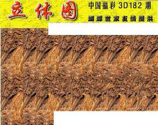 23182期: 3D蝴蝶世家蝴蝶彩图