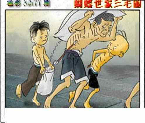 23177期: 3D蝴蝶世家蝴蝶彩图