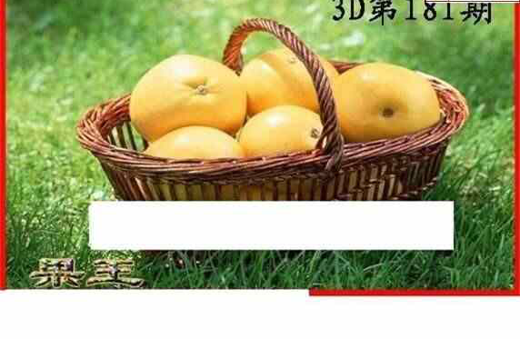 23181期: 白老3D杀码图版