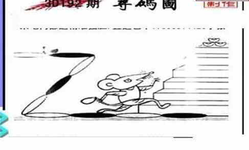 23192期: 三毛3D精品图谜