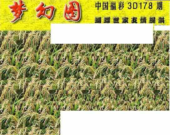 23178期: 3D蝴蝶世家蝴蝶彩图