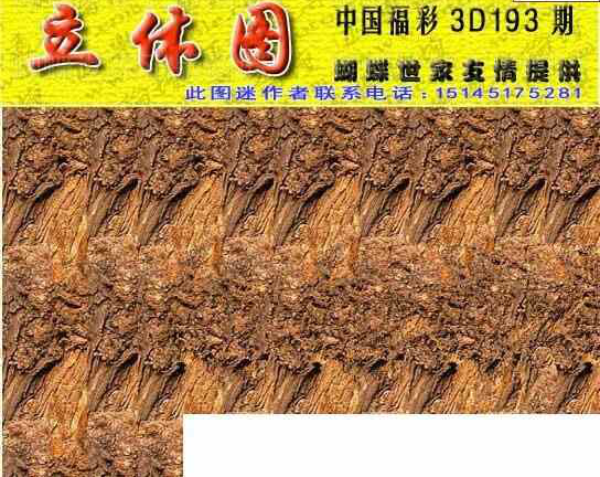 23193期: 3D蝴蝶世家蝴蝶彩图